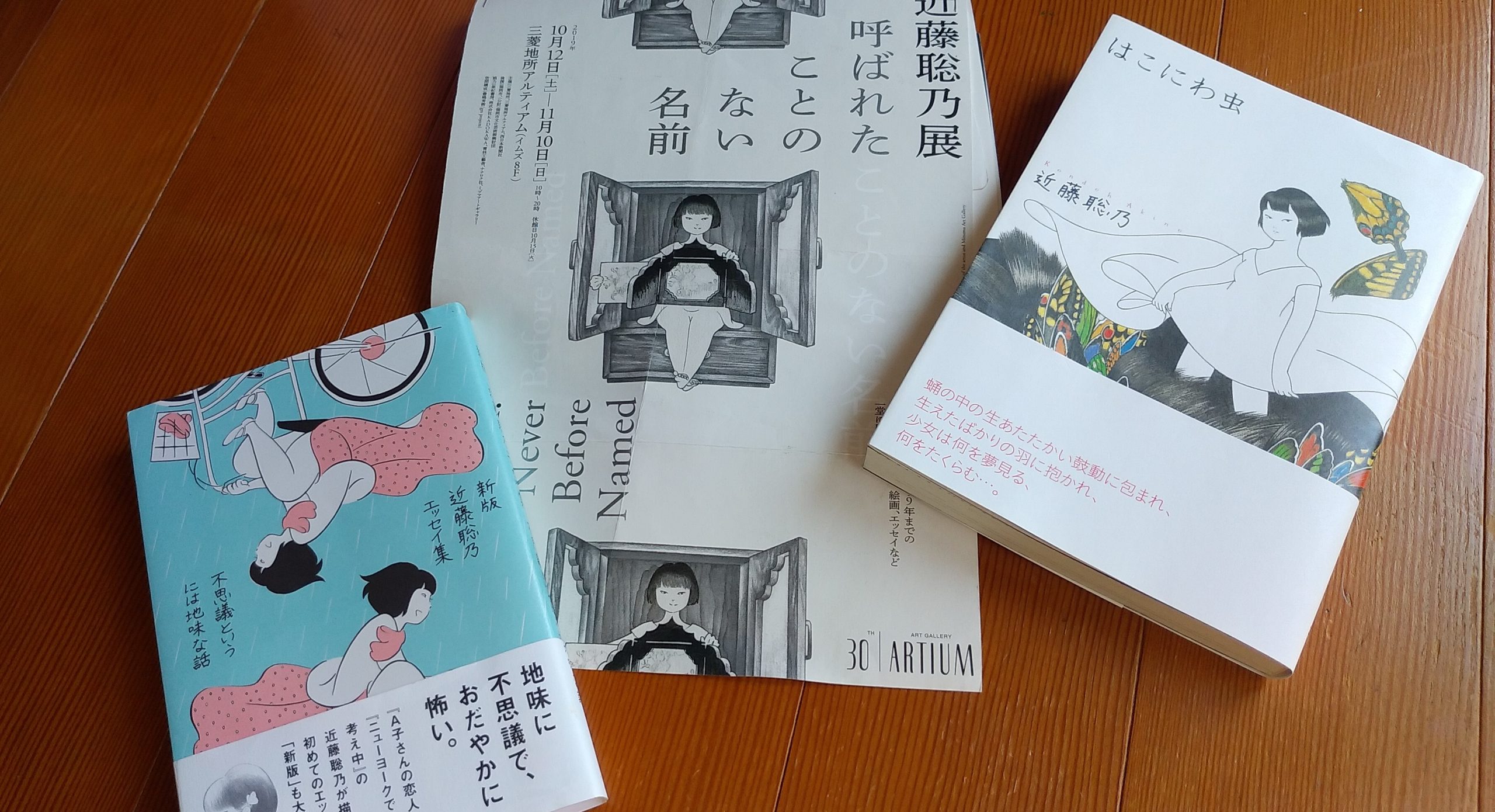 不確定要素の多い時代には 不穏な癒しを 近藤聡乃 不思議というには地味な話 はこにわ虫 Potari