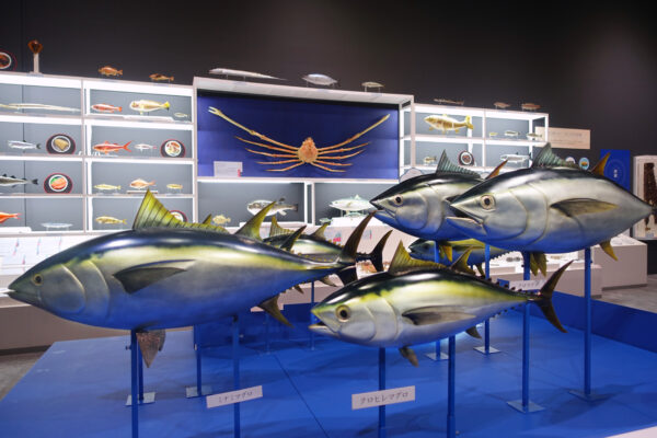 魚介類の展示（愛知会場の様子）